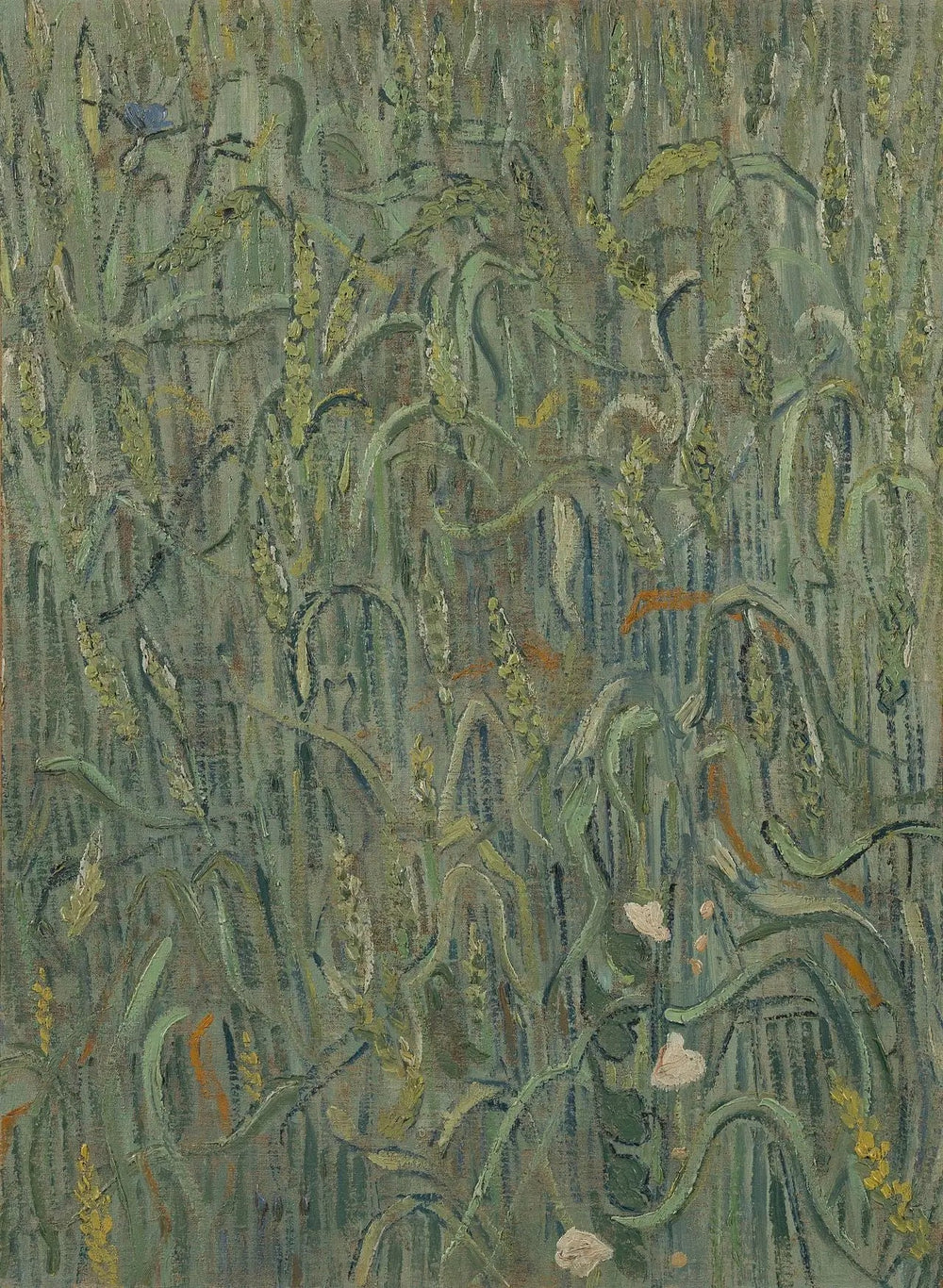 Épis de blé - Vincent van Gogh image 1 reproduction d’œuvre d’art à l’huile
