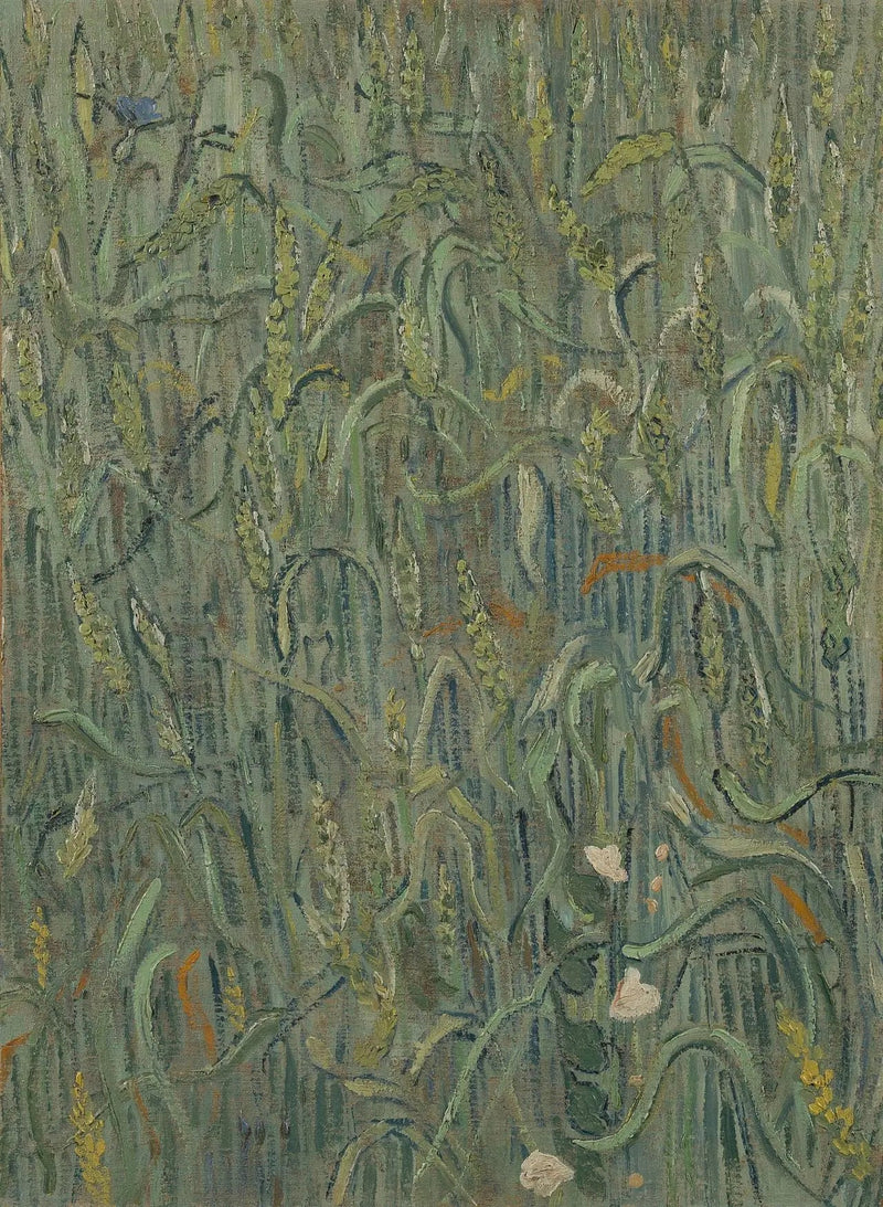 Espigas de trigo - Vincent van Gogh