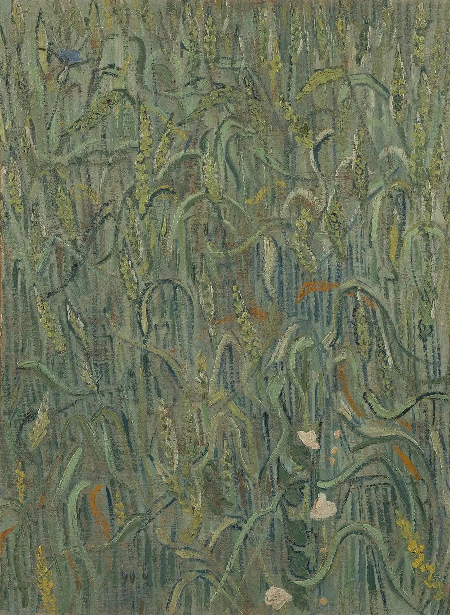 Espigas de trigo - Vincent van Gogh