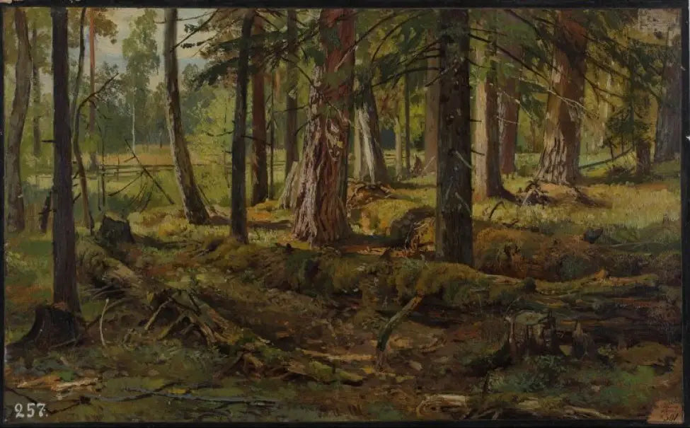 Étude forestière - Ivan Chichkine - Alpha Reproduction