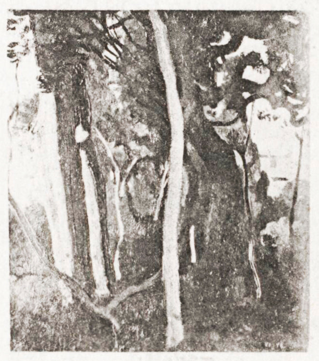 Etudes d’arbres villa d’Este à Tivoli - Jean-Baptiste Camille Corot - Alpha Reproduction