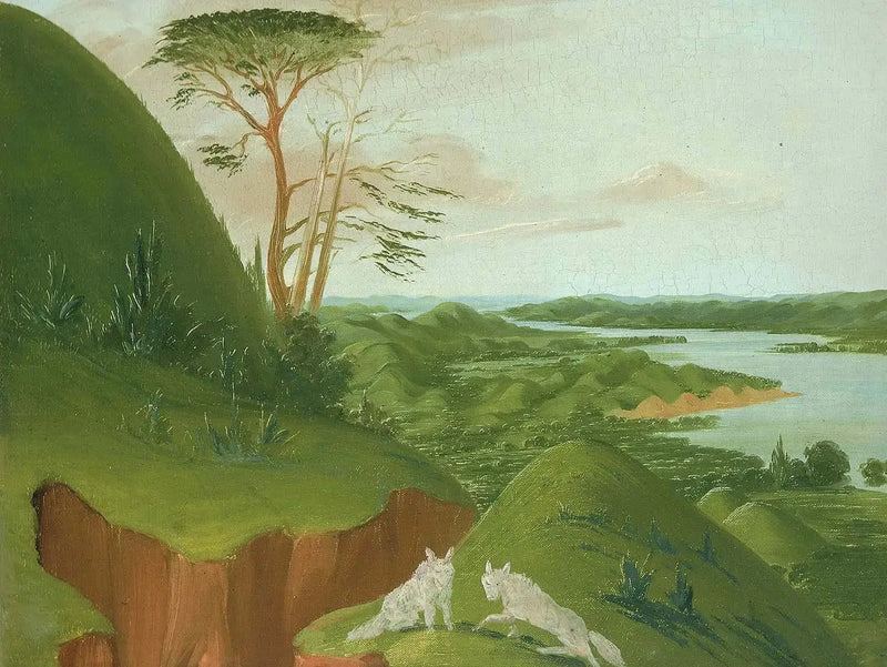 Acantilados fluviales con lobos blancos en primer plano, Alto-Misuri - George Catlin