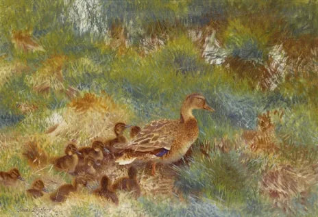 Familia de patos - Bruno Liljefors