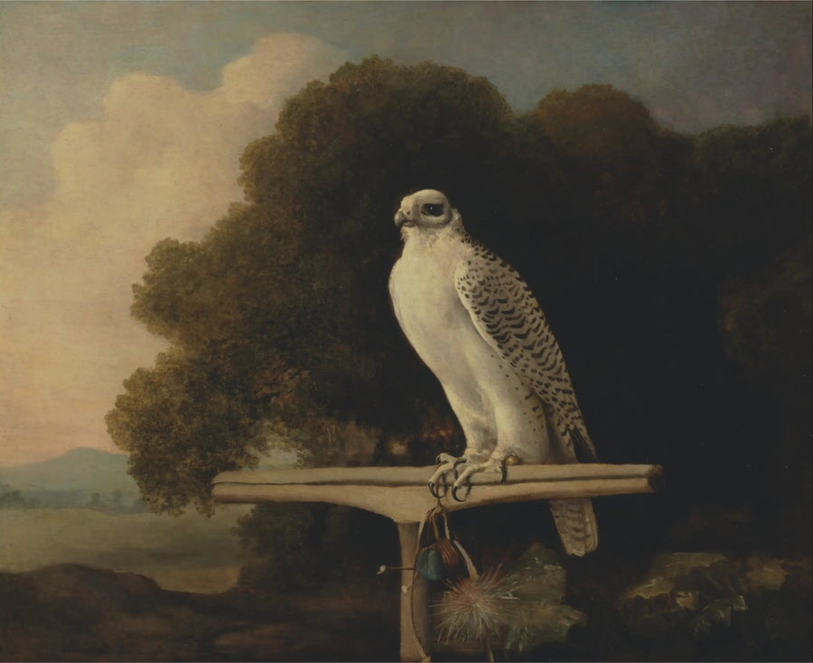 Halcón de Groenlandia - George Stubbs