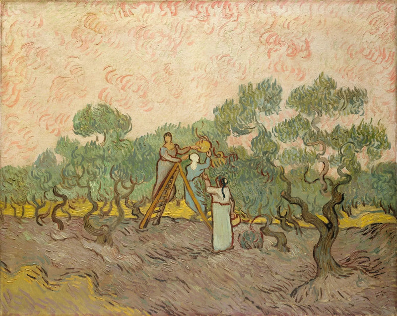Mujeres recogiendo aceitunas - Vincent van Gogh