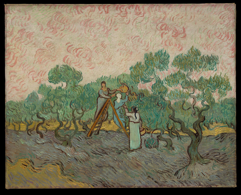 Mujeres recogiendo aceitunas - Vincent van Gogh