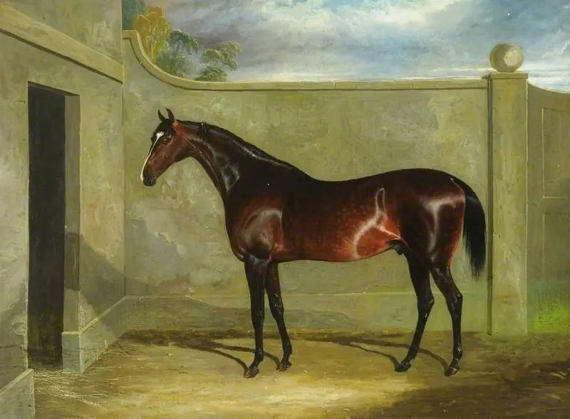 Hijo de puta - John Frederick Herring, Sr.