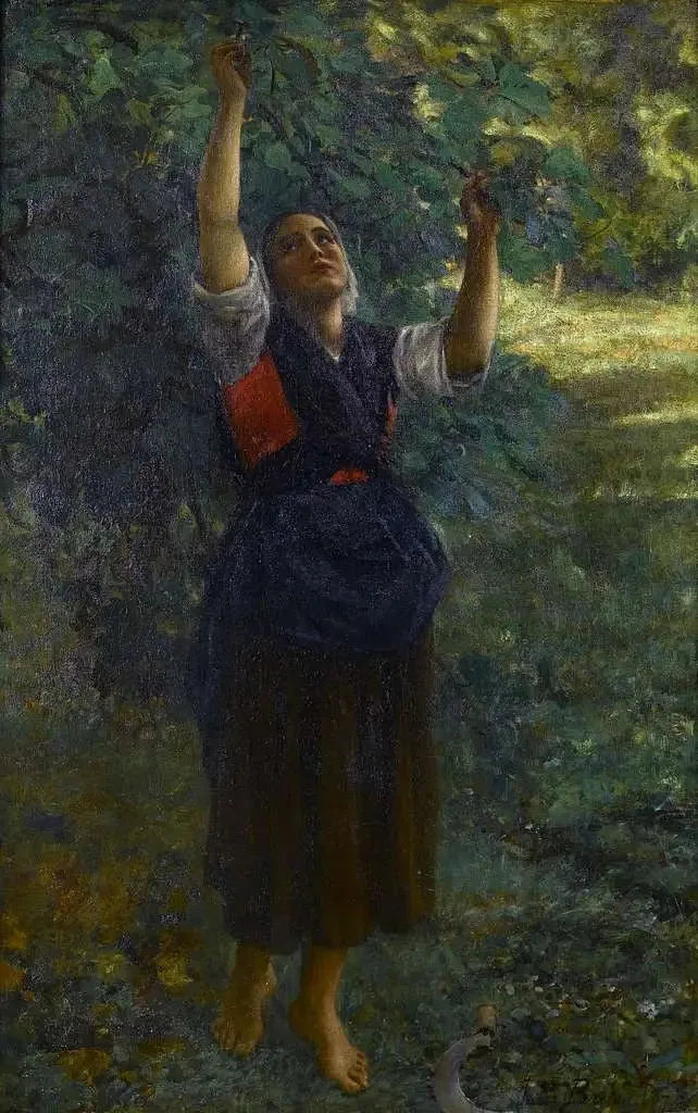 Chica recolectando higos - Jules Breton