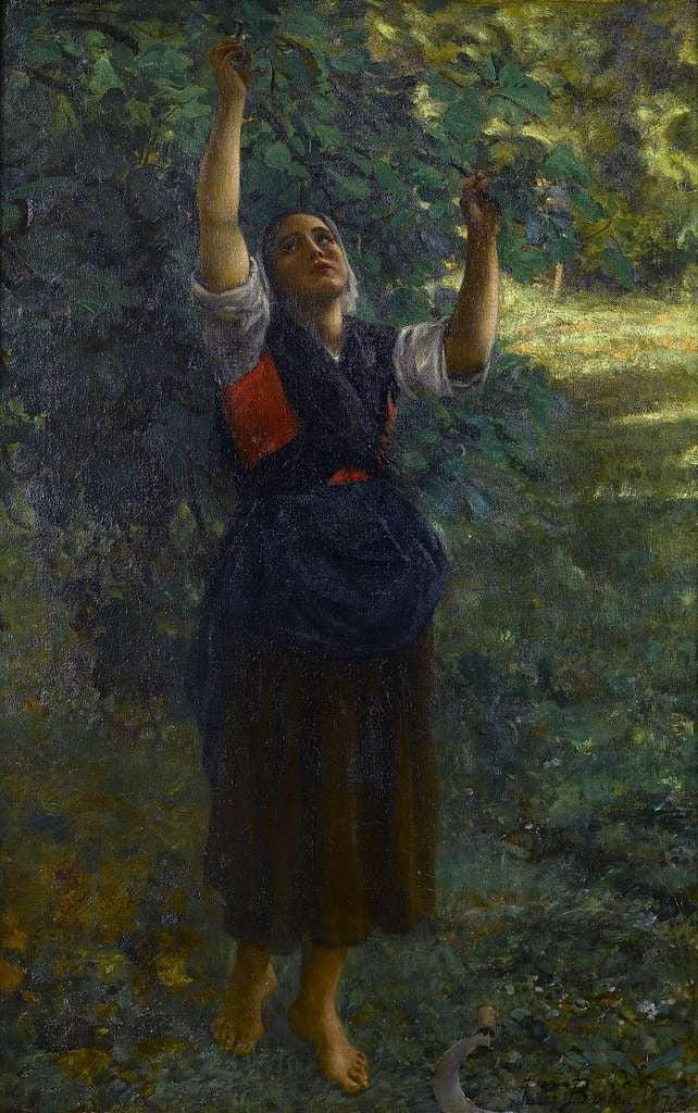 Fille cueillant des figues - Jules Breton - Alpha Reproduction