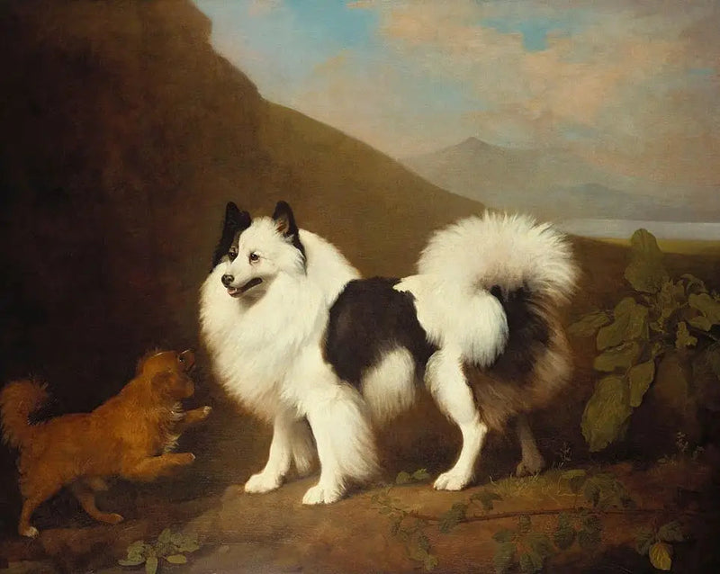 Fino y Tiny - George Stubbs