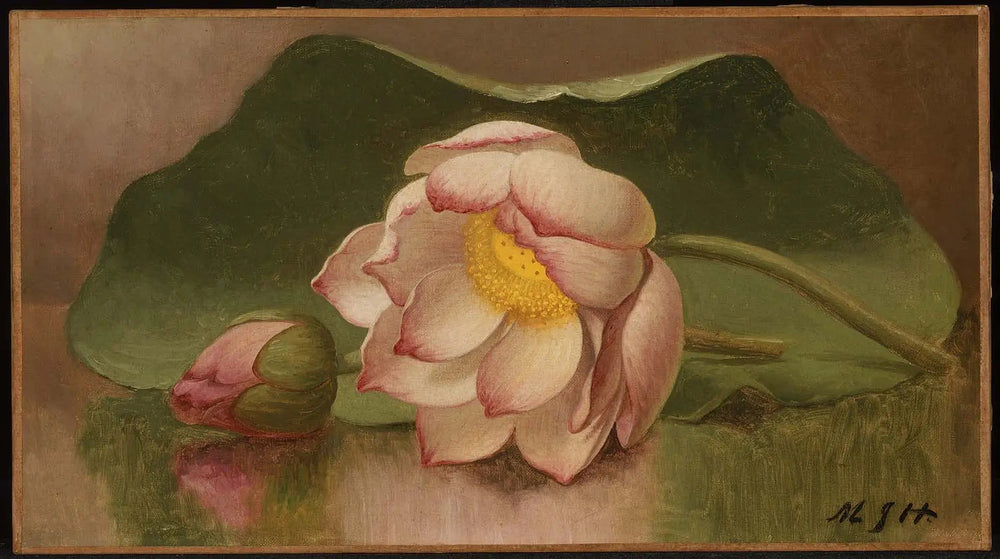Fleur de lotus - Martin Johnson Heade image 1 reproduction artisanale de tableau