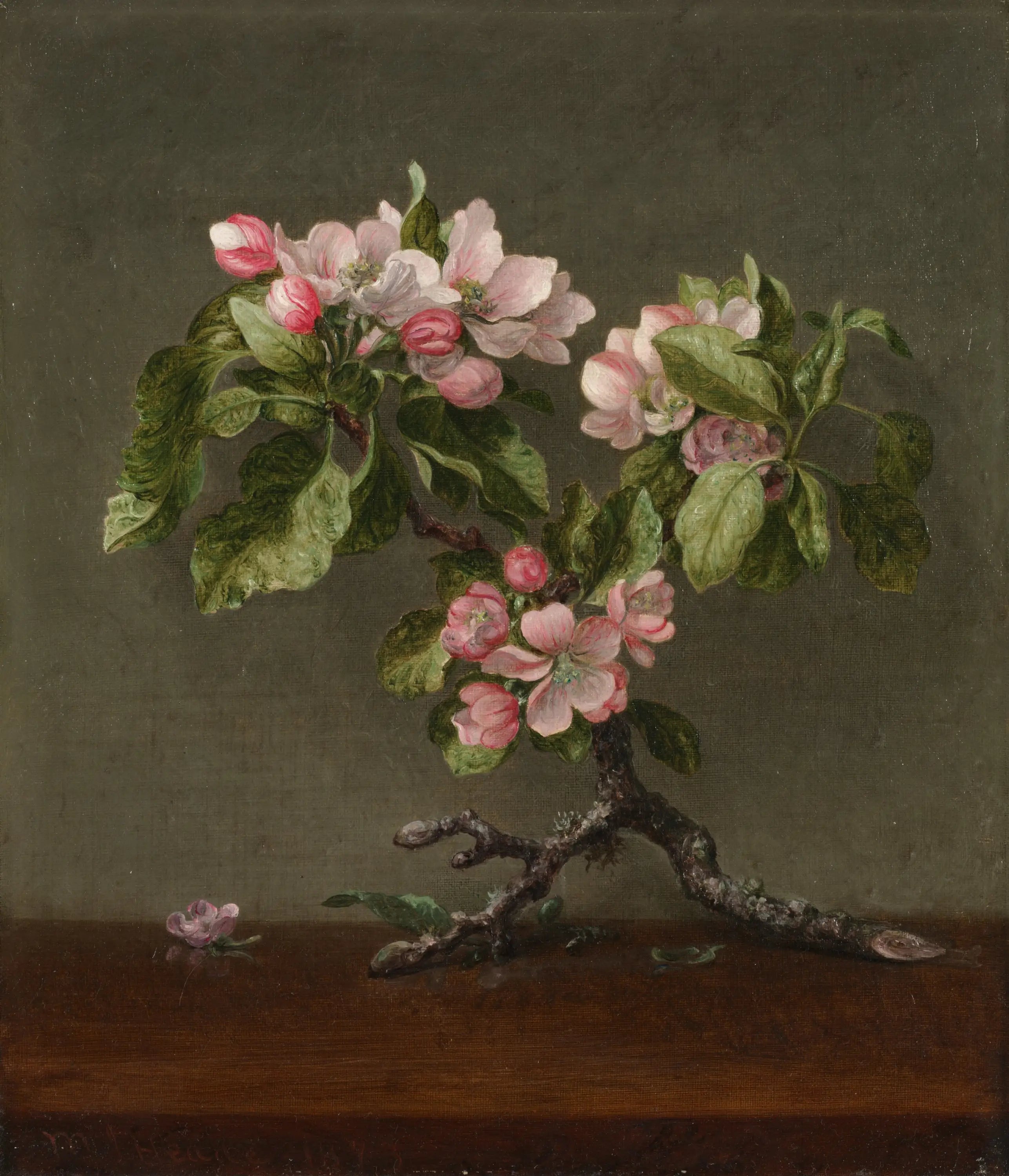 Fleurs de pommier - Martin Johnson Heade image 1 reproduction artisanale de tableau