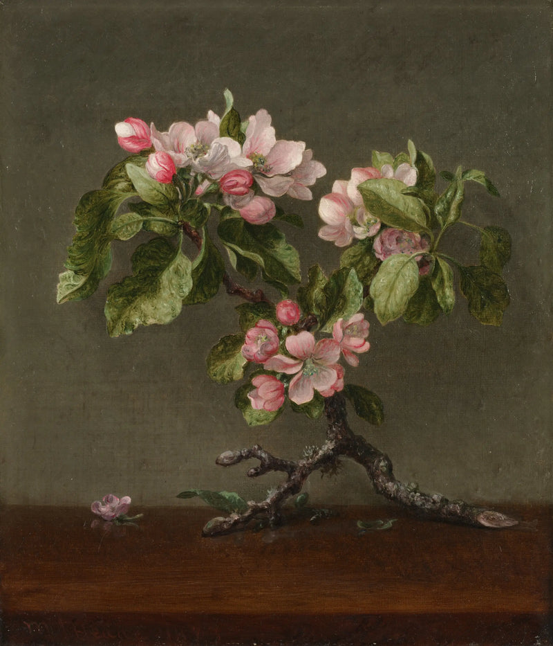 Flores de manzano - Martin Johnson Heade
