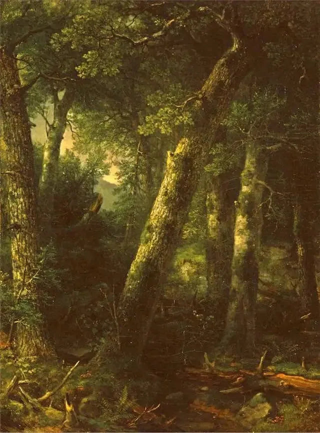 Bosque en la luz de la mañana - Asher Brown Durand
