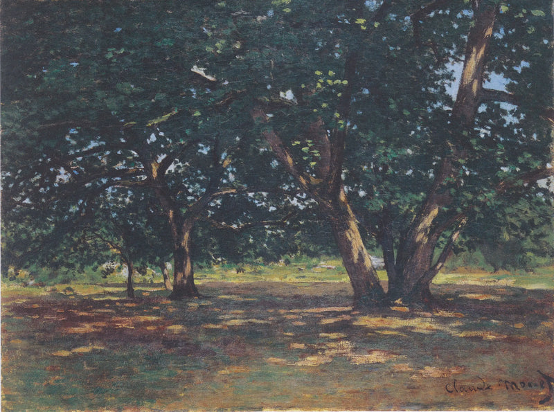 Bosque de Fontainebleau - Claude Monet