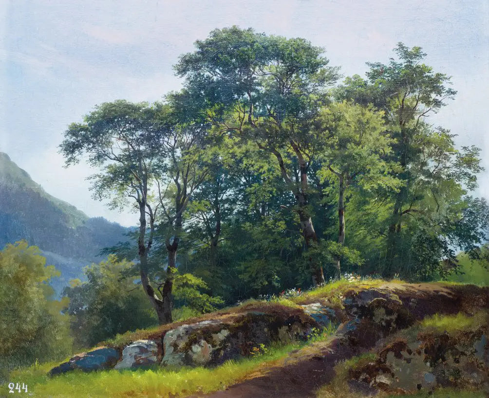 Forêt de hêtres en Suisse - Ivan Chichkine - Alpha Reproduction