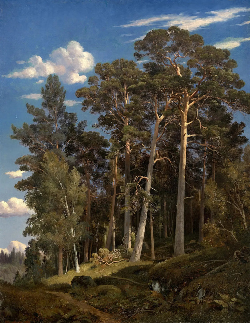 Bosque de pinos - Ivan Chichkine