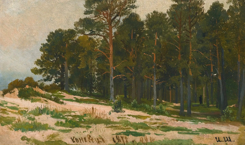 Bosque de pinos - Ivan Chichkine