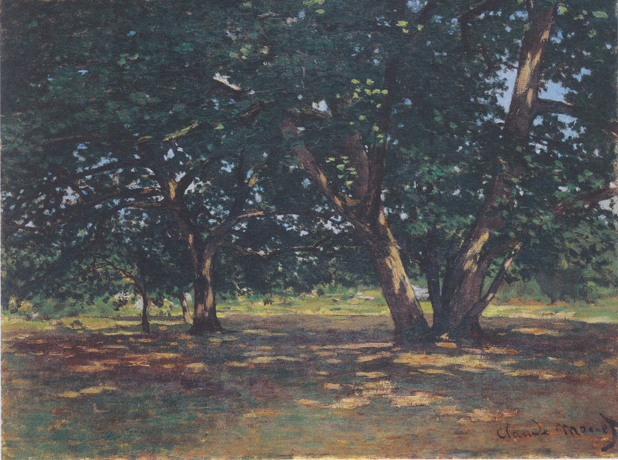 Bosque Fontainebleau W59 - Claude Monet