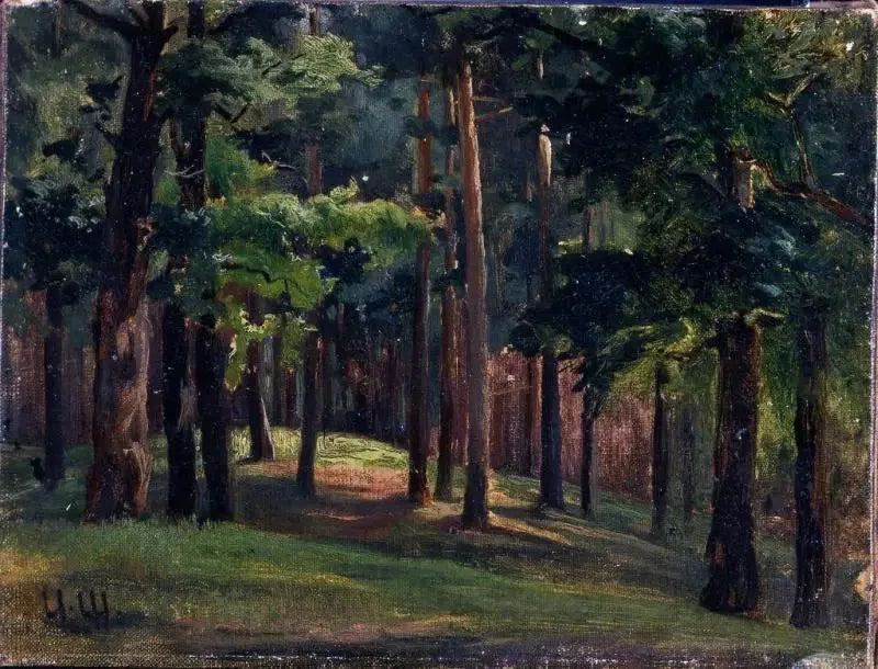 Bosque - Ivan Chichkine