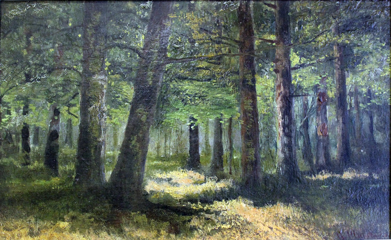 Bosque - Ivan Chichkine