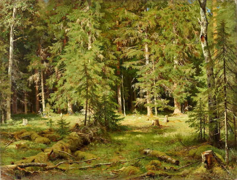 Bosque - Ivan Chichkine