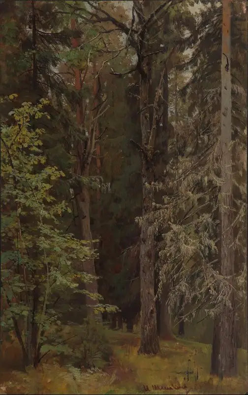 Bosque mixto - Ivan Chichkine