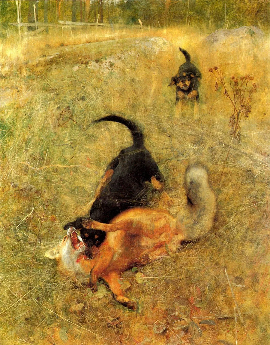 Foxhound sueco y zorro - Bruno Liljefors