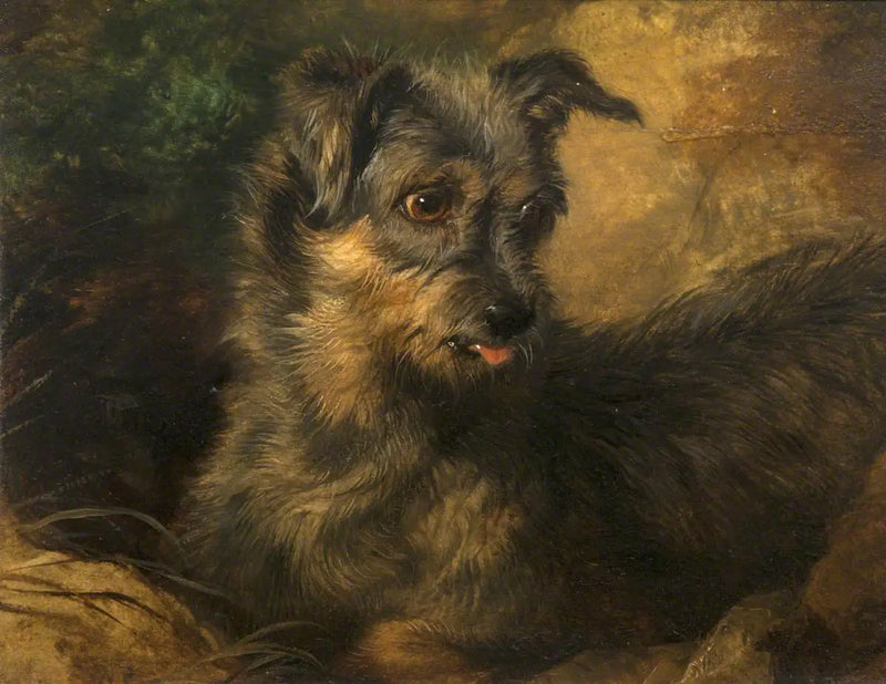 Jengibre - Edwin Henry Landseer