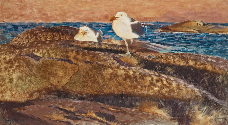 Gaviotas argénteas europeas - Bruno Liljefors