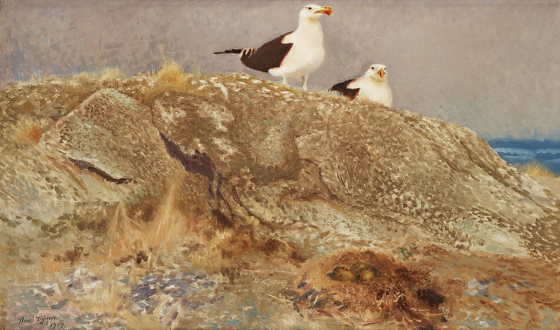 Grandes gaviotas de lomo negro - Bruno Liljefors