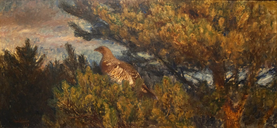 Urogallo hembra - Bruno Liljefors