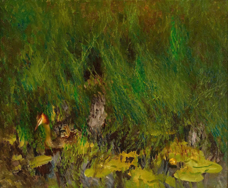 Somormujo Lavanco - Bruno Liljefors