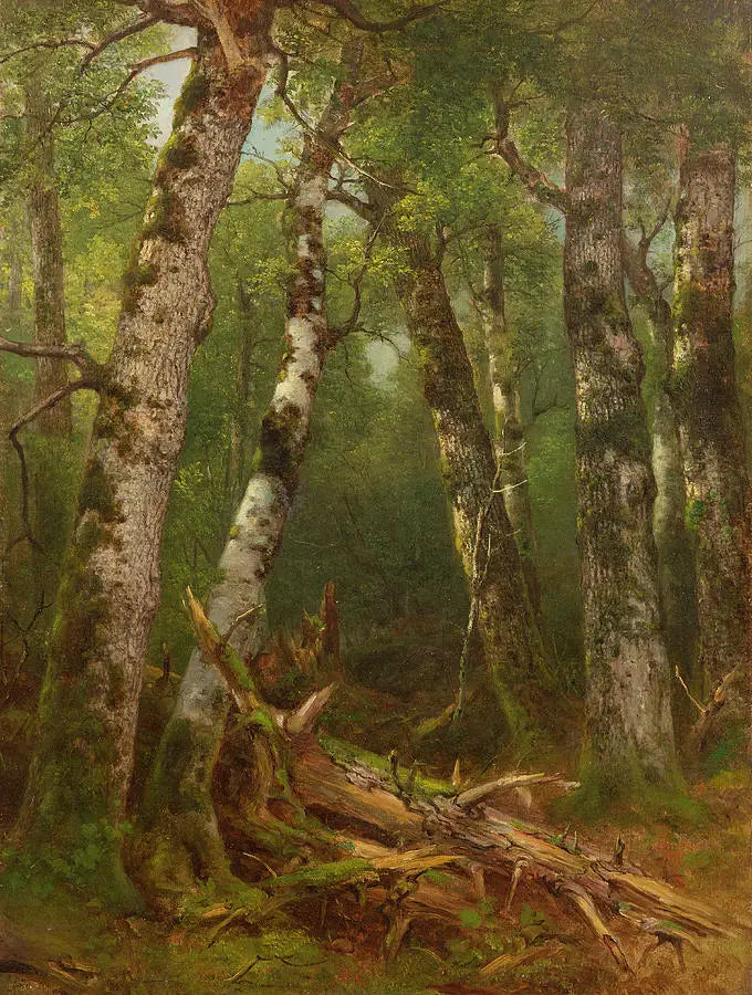 Grupo de árboles - Asher Brown Durand