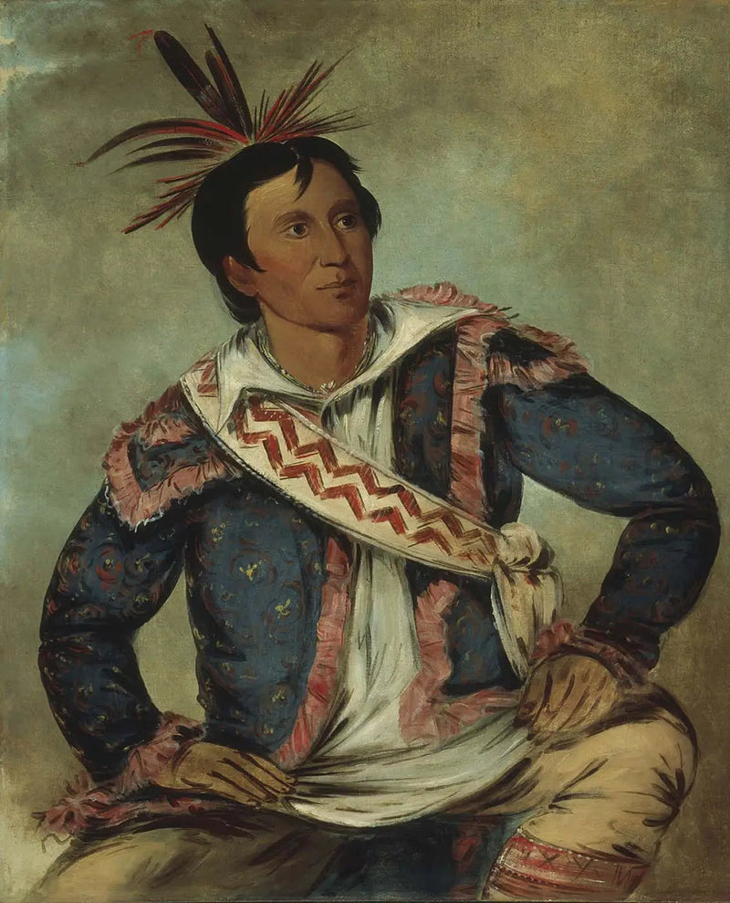 Há-tchoo-túc-knee, tortuga serpiente, una mestiza - George Catlin