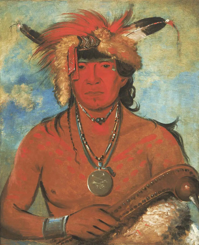 Háh-je-day-ah'-shee, Encuentro con los pájaros, un valiente - George Catlin