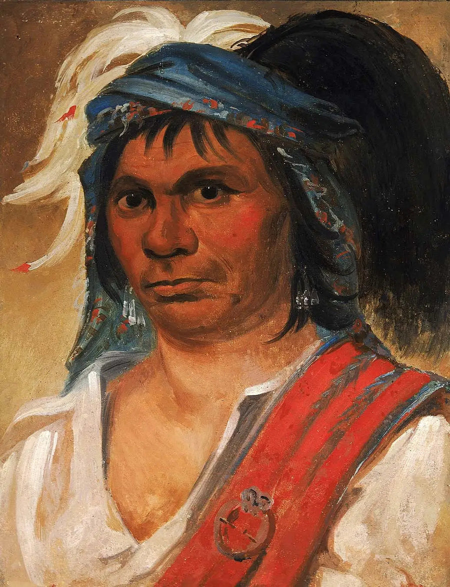 Hard Hickory, un hombre amable - George Catlin