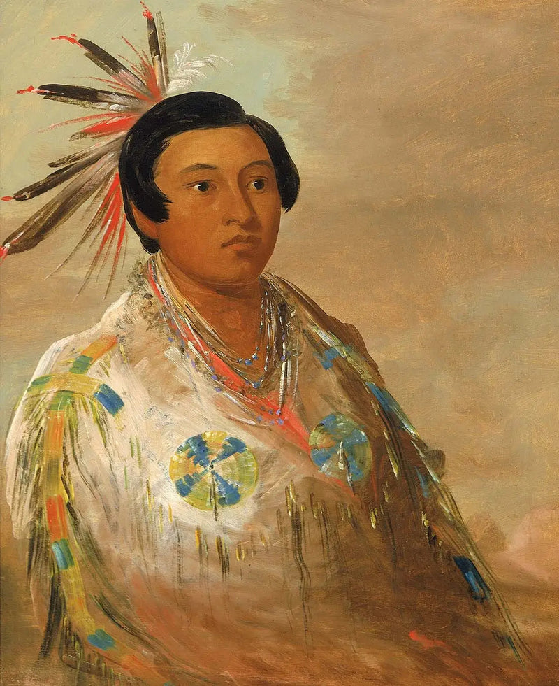 Hee-doh'ge-ats, un joven - George Catlin