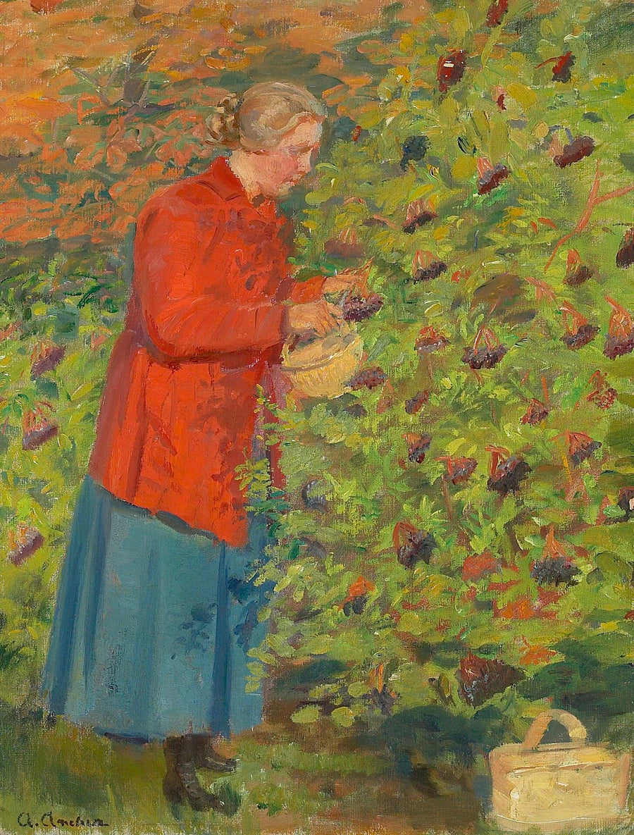 Helga Ancher recogiendo bayas de saúco. - Anna Ancher