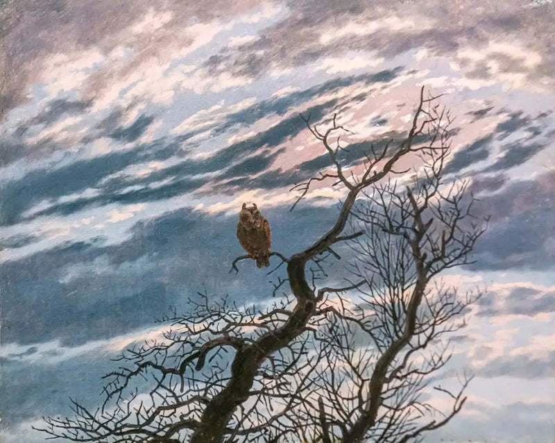Búho en un árbol - Caspar David Friedrich