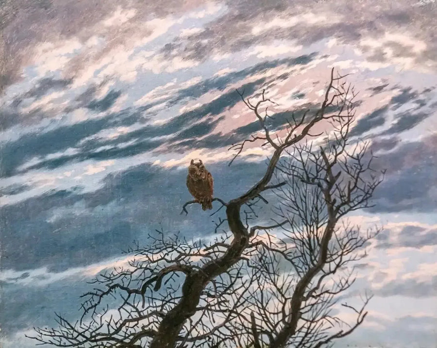 Búho en un árbol - Caspar David Friedrich