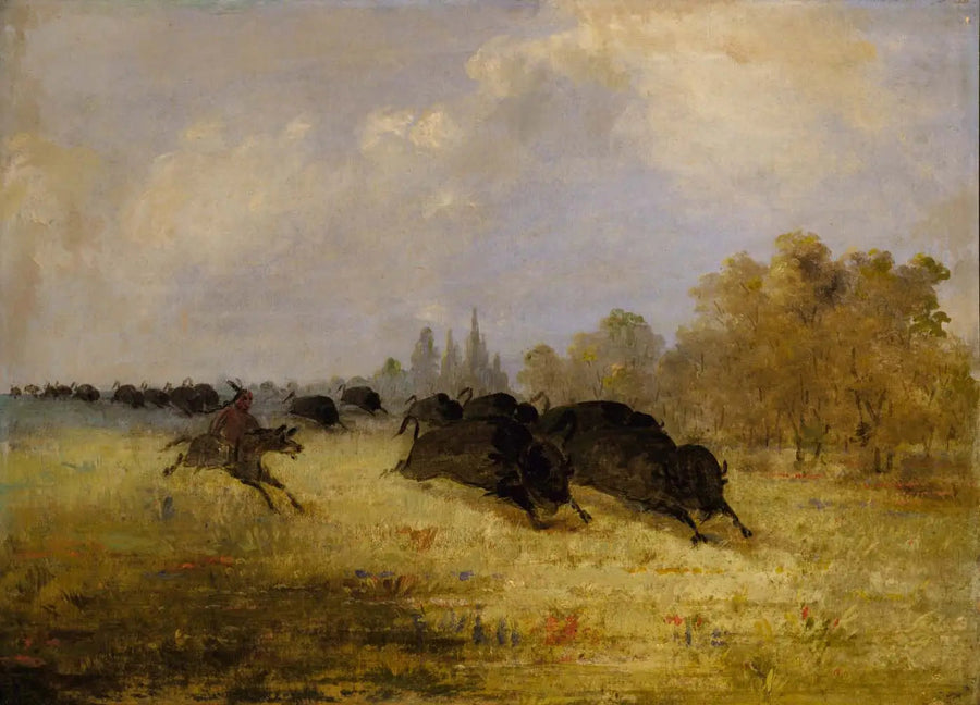 Indios Caddo cazando al bisonte, Cross Timbers, Texas - George Catlin