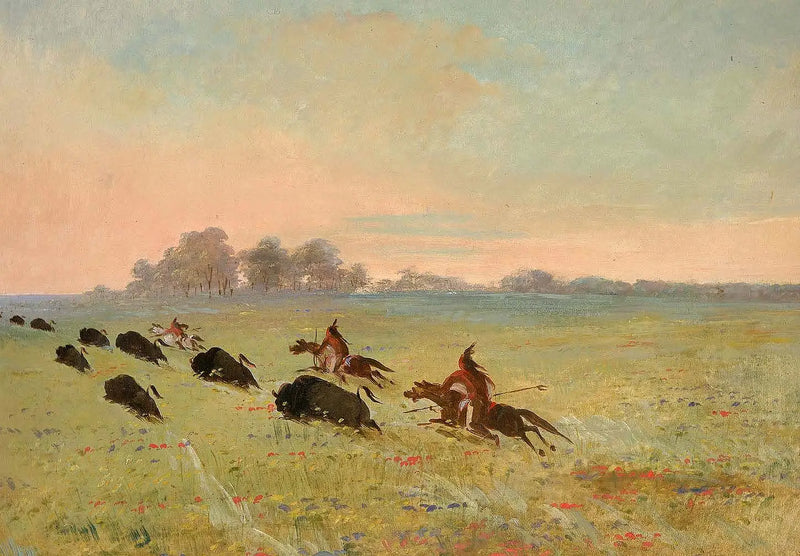 Indios comanches cazando bisontes - George Catlin