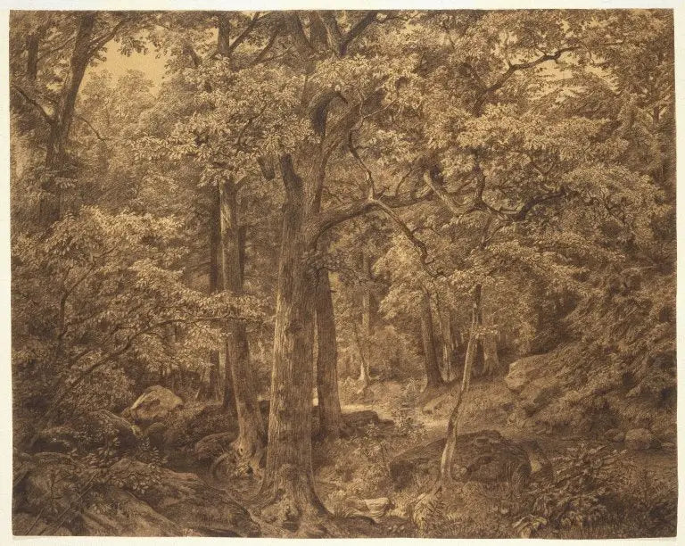 Interior del bosque - William Trost Richards