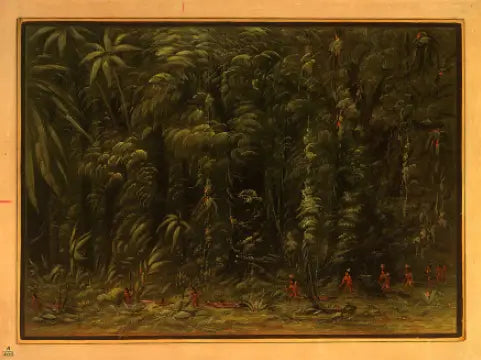 Interior de un bosque amazónico - Zurumati - George Catlin