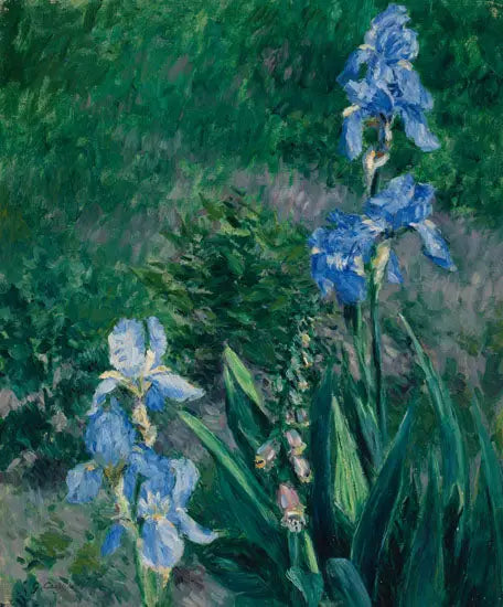 Iris azules, jardín del Petit Gennevilliers - Gustave Caillebotte