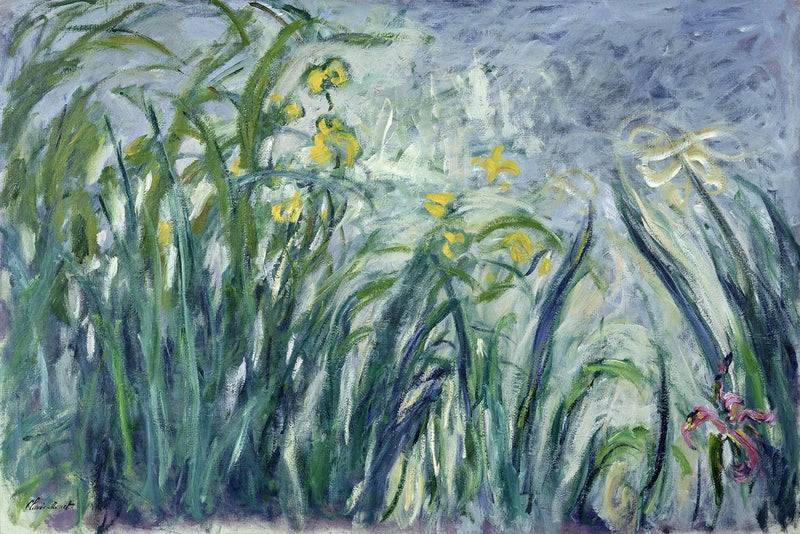 Iris amarillos y morados - Claude Monet