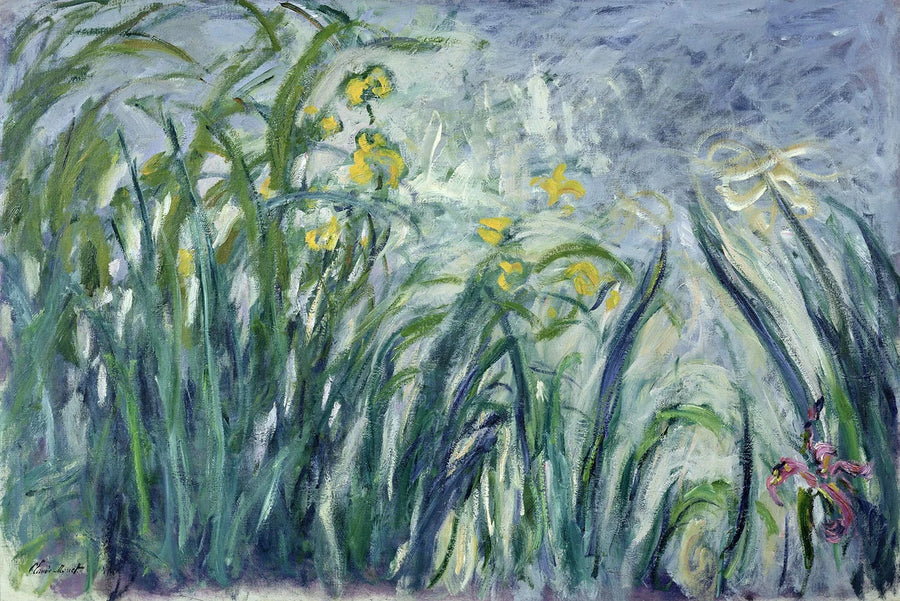 Iris amarillos y morados - Claude Monet