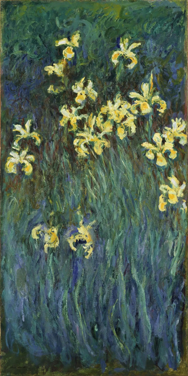 Iris amarillos, NMWA P.1986-0002 W1826 - Claude Monet