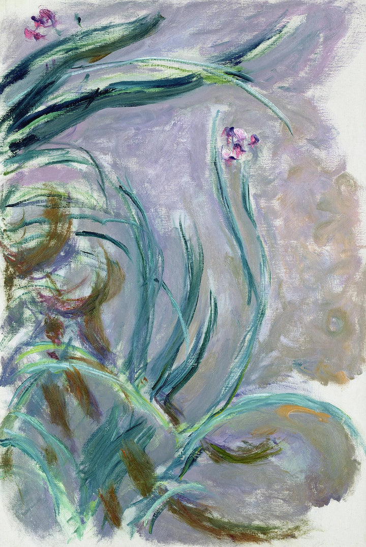 Iris-claude Monet